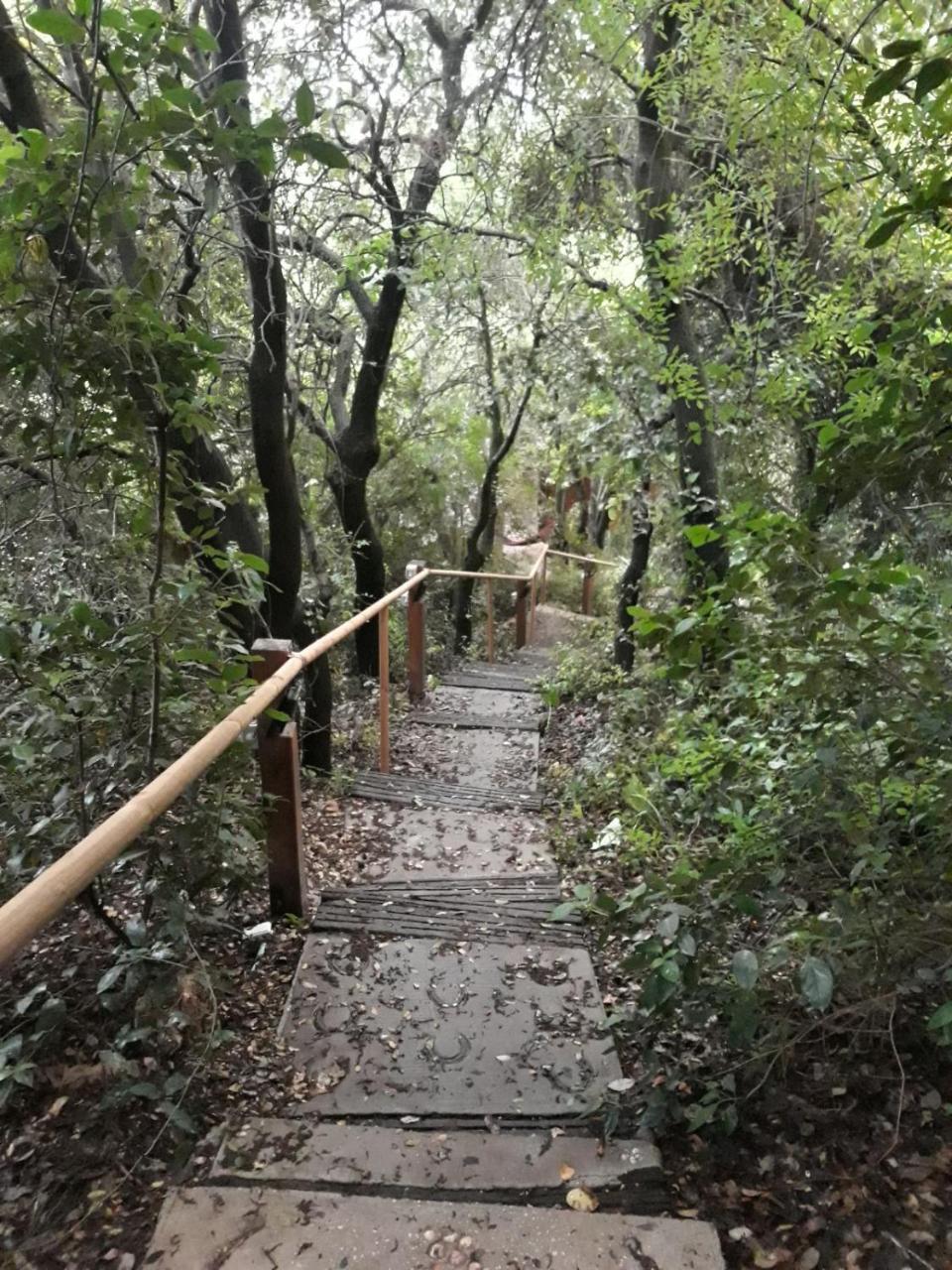 פסגת מתת Pisgat Mattat Villa Екстериор снимка