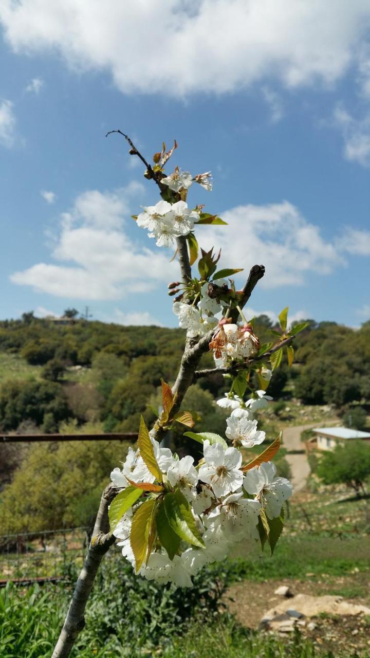 פסגת מתת Pisgat Mattat Villa Екстериор снимка