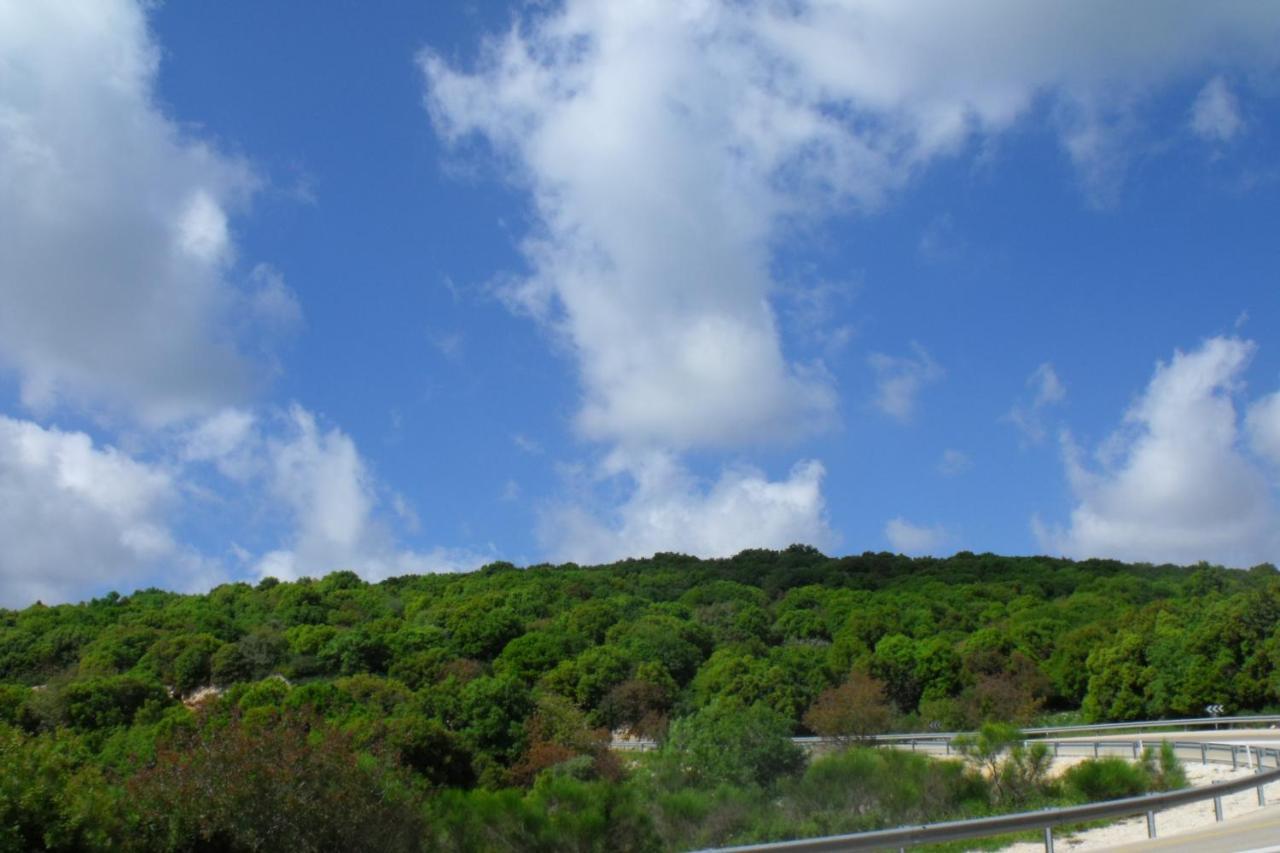פסגת מתת Pisgat Mattat Villa Екстериор снимка